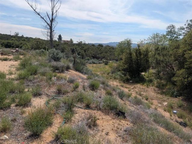 37120 Woodview, Anza, CA 92539