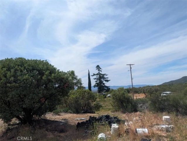 37120 Woodview, Anza, CA 92539