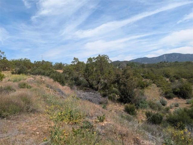 37120 Woodview, Anza, CA 92539