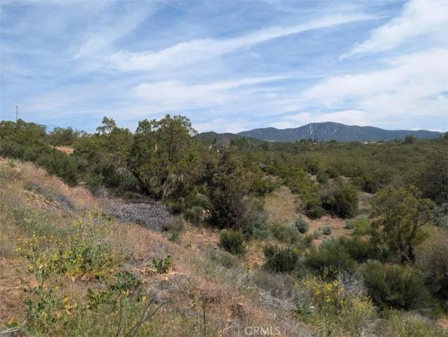 37120 Woodview, Anza, CA 92539
