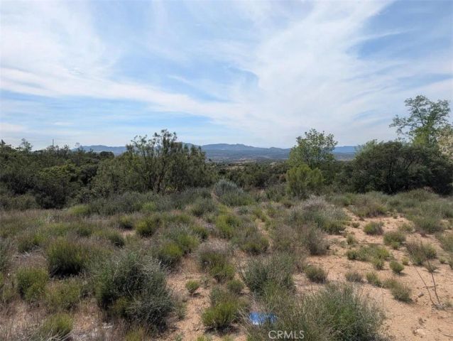 37120 Woodview, Anza, CA 92539