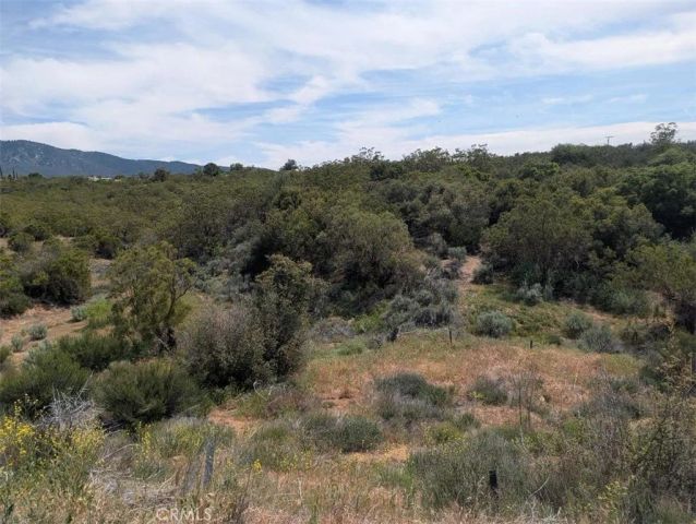 37120 Woodview, Anza, CA 92539