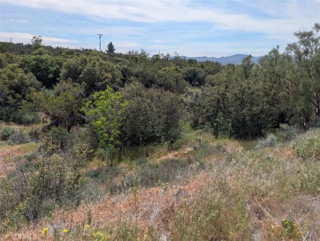 37120 Woodview, Anza, CA 92539