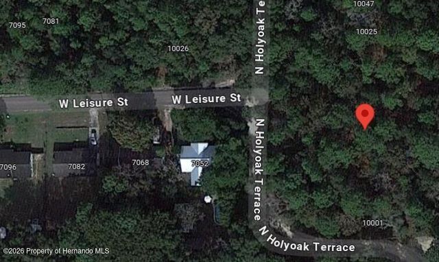 10013 N Holyoak Terrace, Dunnellon, FL 34433