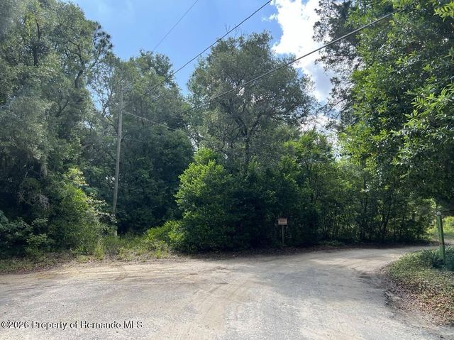 10013 N Holyoak Terrace, Dunnellon, FL 34433
