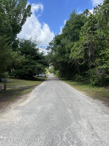 10013 N Holyoak Terrace, Dunnellon, FL 34433