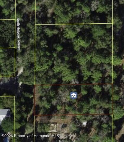 10013 N Holyoak Terrace, Dunnellon, FL 34433