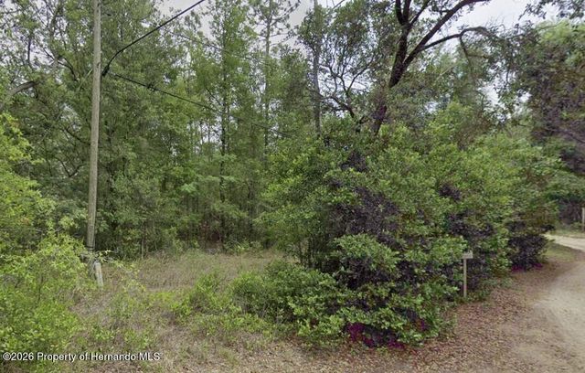 10013 N Holyoak Terrace, Dunnellon, FL 34433