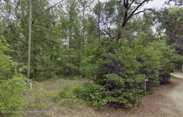 10013 N Holyoak Terrace, Dunnellon, FL 34433