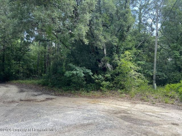 10013 N Holyoak Terrace, Dunnellon, FL 34433