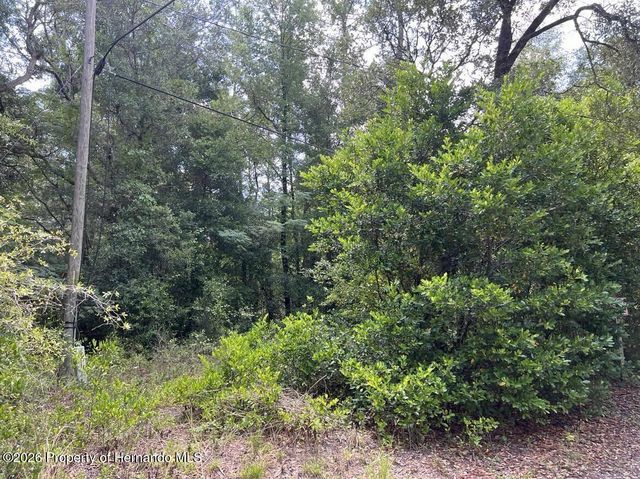 10013 N Holyoak Terrace, Dunnellon, FL 34433