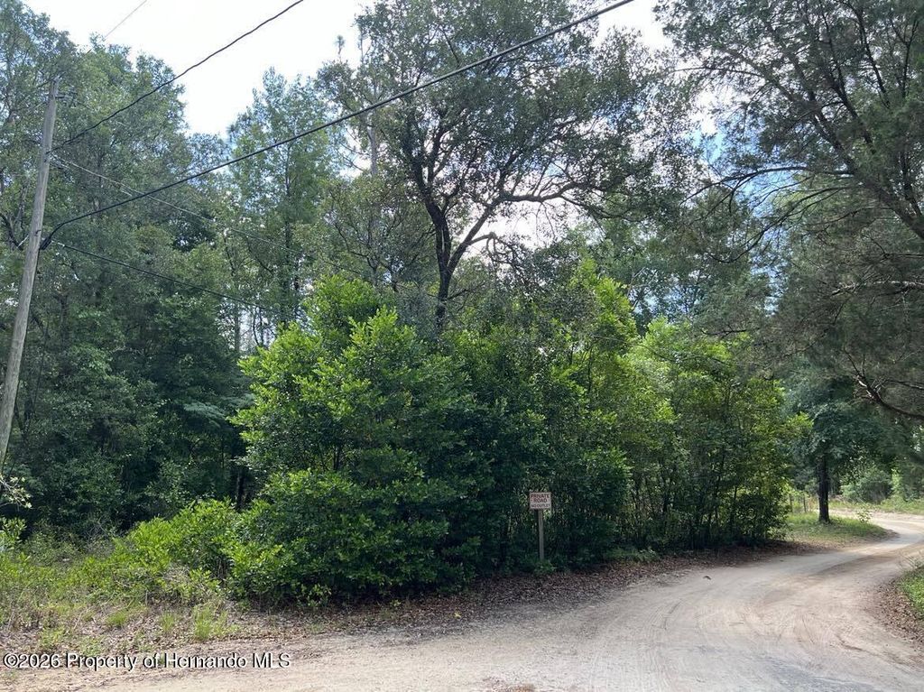 10013 N Holyoak Terrace, Dunnellon, FL 34433