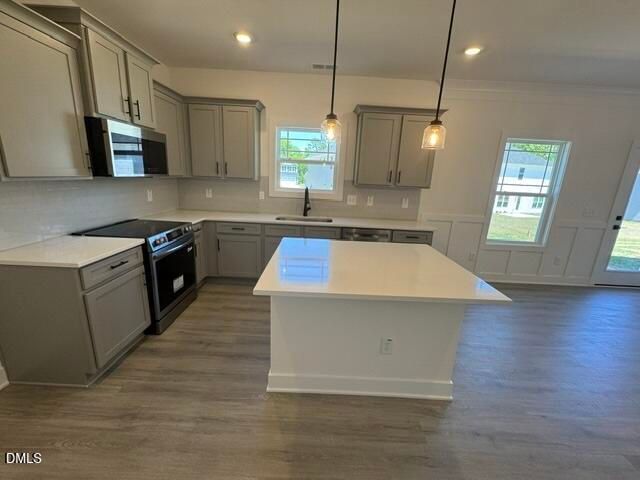 324 New Twin Branch Court, Smithfield, NC 27577