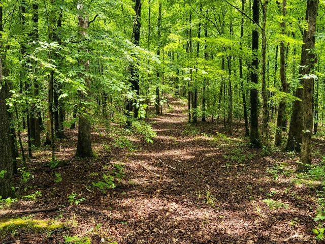 4545 Scenic Hills Ln, Franklin, TN 37064
