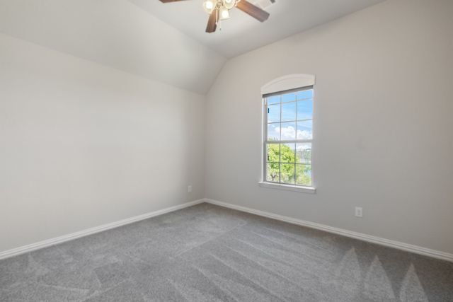 1201 Ivy Charm Way, Arlington, TX 76005