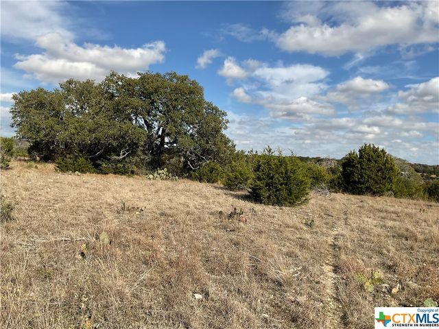 LOT 153 High Point Drive, Kempner, TX 76539