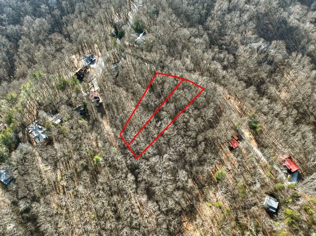 LTS 159+ Hickory Trace, Ellijay, GA 30536