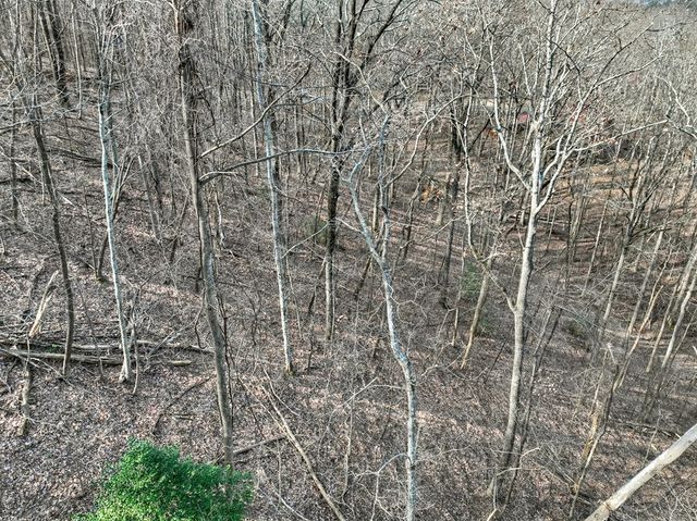 LTS 159+ Hickory Trace, Ellijay, GA 30536