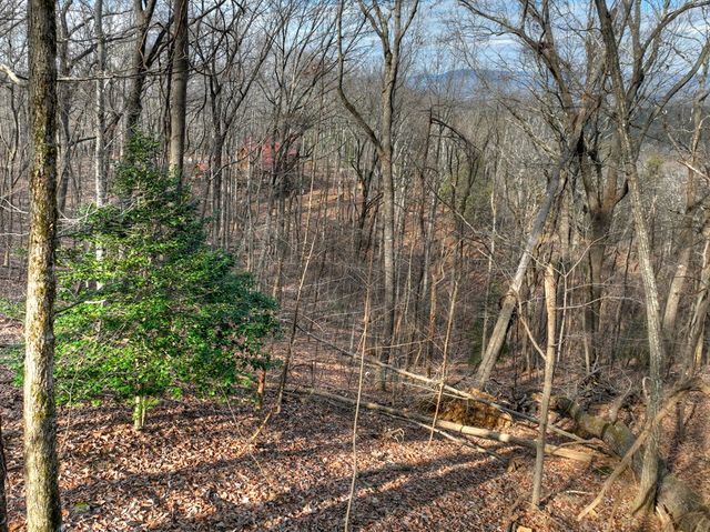 LTS 159+ Hickory Trace, Ellijay, GA 30536