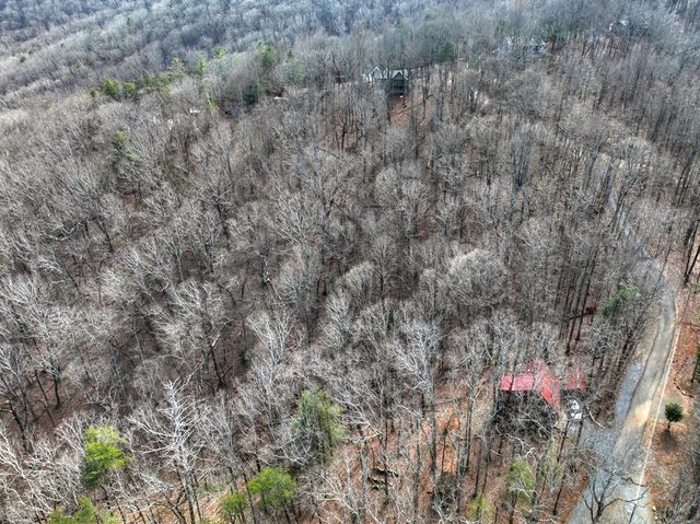 LTS 159+ Hickory Trace, Ellijay, GA 30536