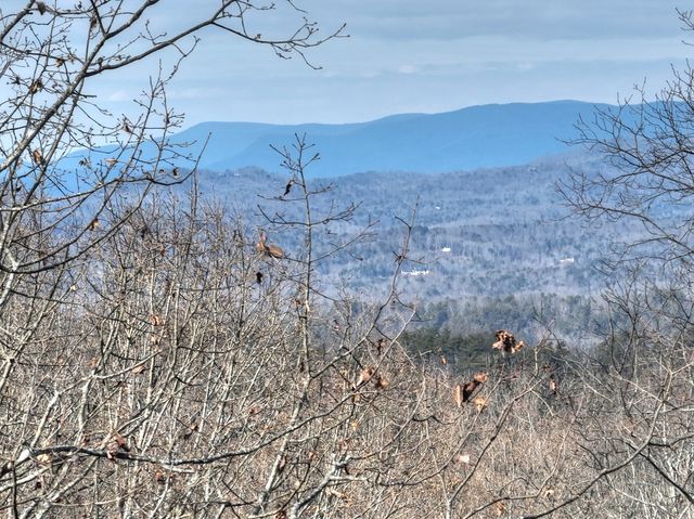 LTS 159+ Hickory Trace, Ellijay, GA 30536