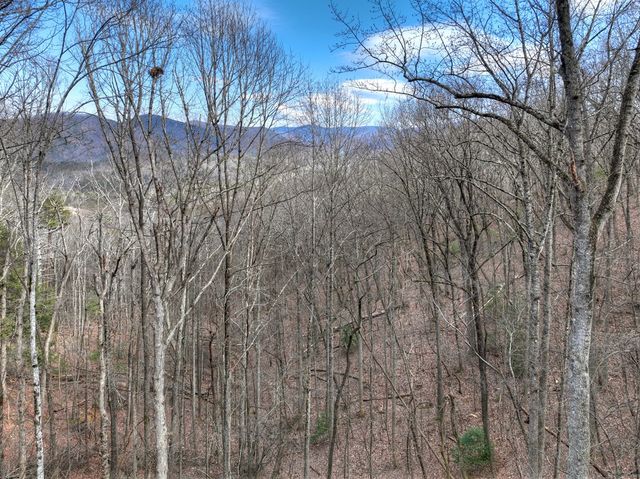 LTS 159+ Hickory Trace, Ellijay, GA 30536