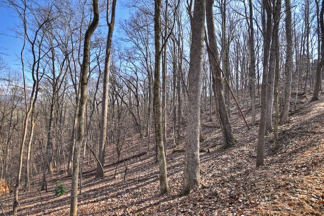 LTS 159+ Hickory Trace, Ellijay, GA 30536
