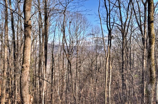 LTS 159+ Hickory Trace, Ellijay, GA 30536