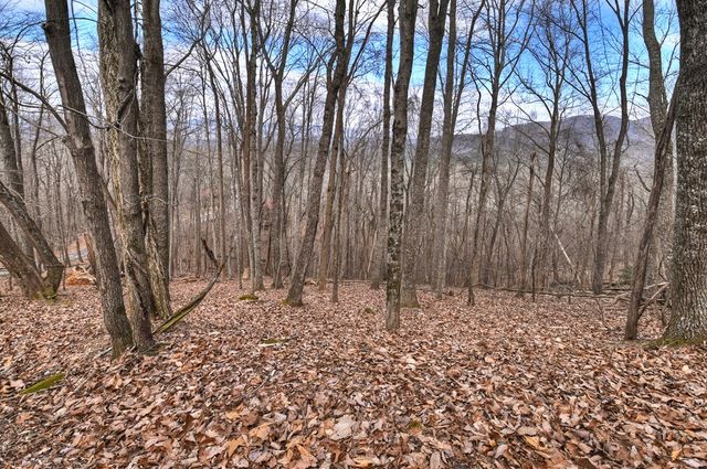 LTS 159+ Hickory Trace, Ellijay, GA 30536