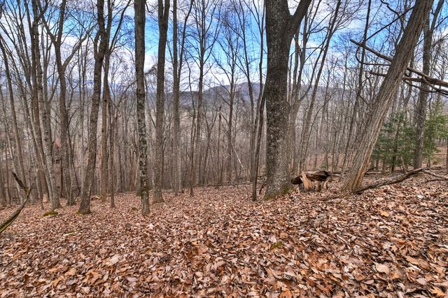 LTS 159+ Hickory Trace, Ellijay, GA 30536