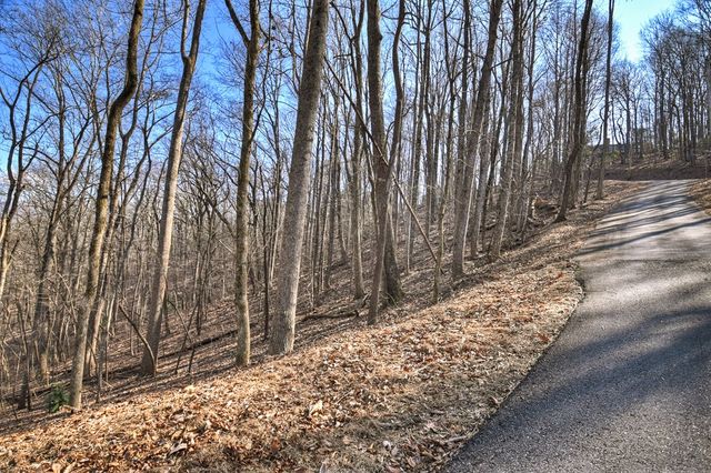 LTS 159+ Hickory Trace, Ellijay, GA 30536