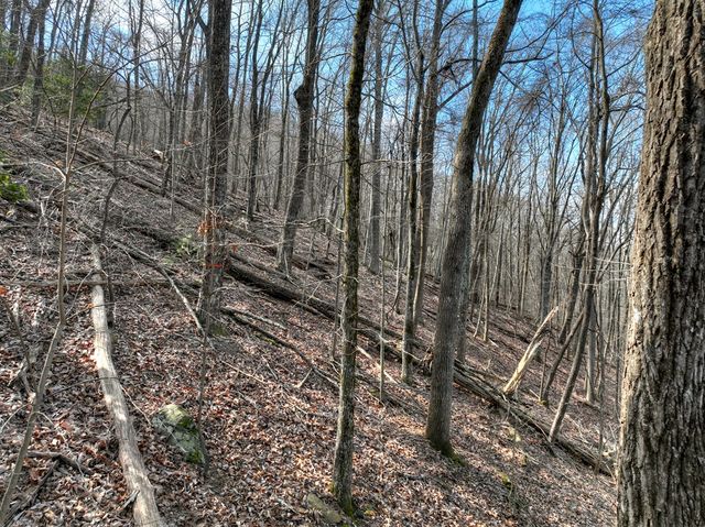 LTS 159+ Hickory Trace, Ellijay, GA 30536
