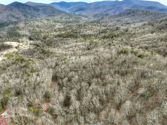 LTS 159+ Hickory Trace, Ellijay, GA 30536