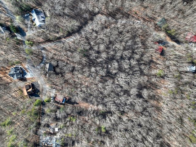 LTS 159+ Hickory Trace, Ellijay, GA 30536