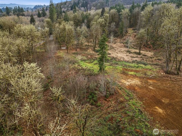 155 Benson Lane, Castle Rock, WA 98611