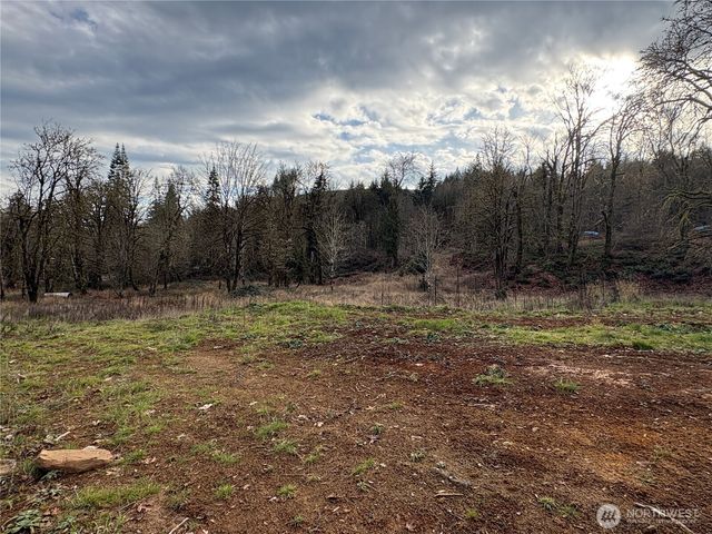 155 Benson Lane, Castle Rock, WA 98611