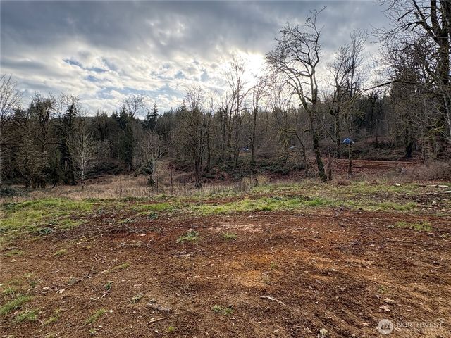 155 Benson Lane, Castle Rock, WA 98611