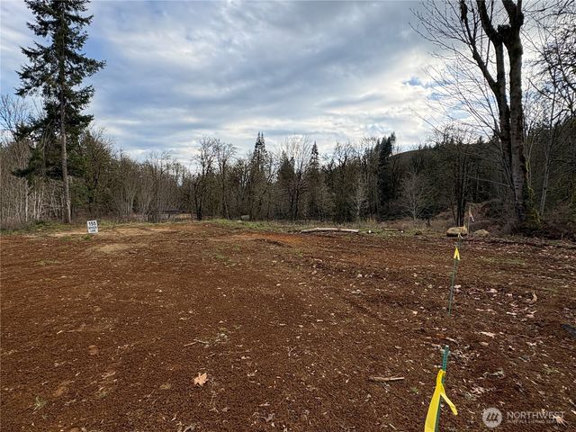 155 Benson Lane, Castle Rock, WA 98611