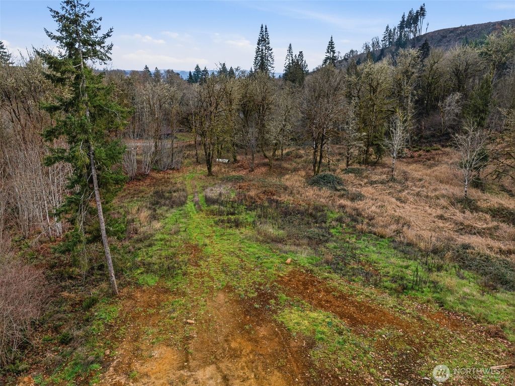 155 Benson Lane, Castle Rock, WA 98611