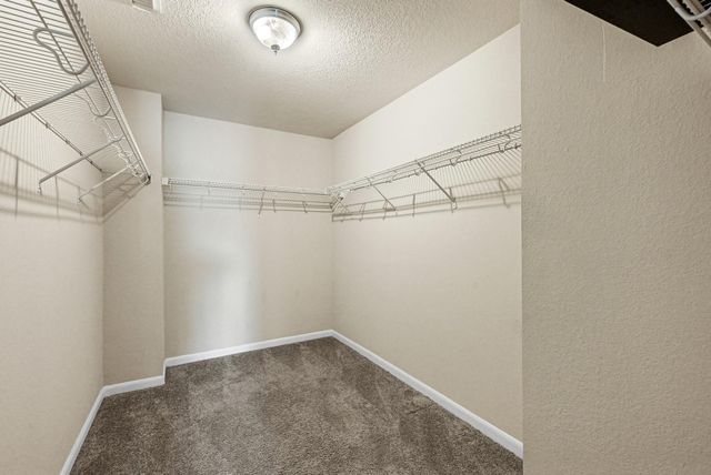 7507 Cypress Edge Drive, Cypress, TX 77433