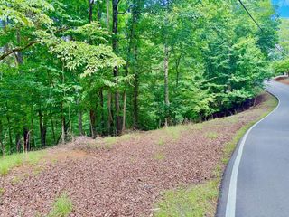 2246 Palisade Drive, Ellijay, GA 30540