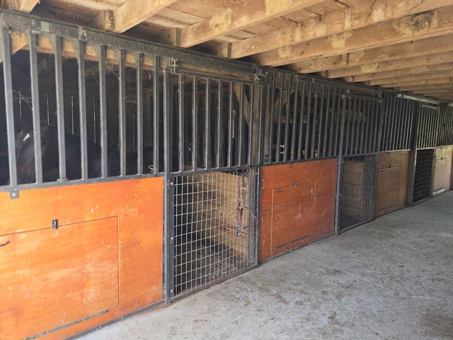 5525 Garland Hollow Road, Means, KY 40346