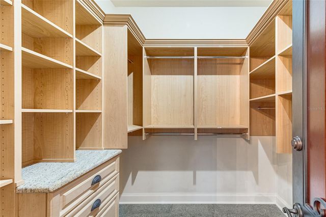 117 BELLAMERE PALMS COURT, Lutz, FL 33549