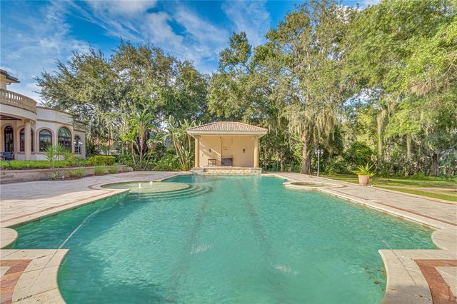 117 BELLAMERE PALMS COURT, Lutz, FL 33549