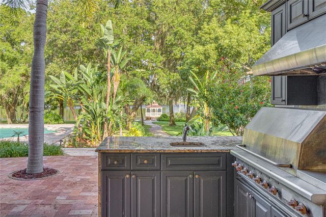 117 BELLAMERE PALMS COURT, Lutz, FL 33549