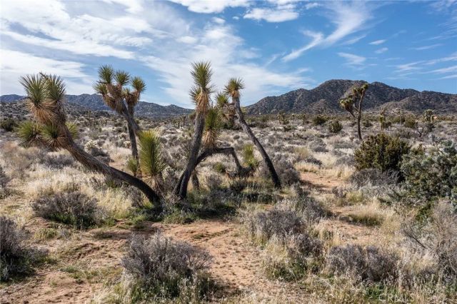 58648 San Marino, Yucca Valley, CA 92284