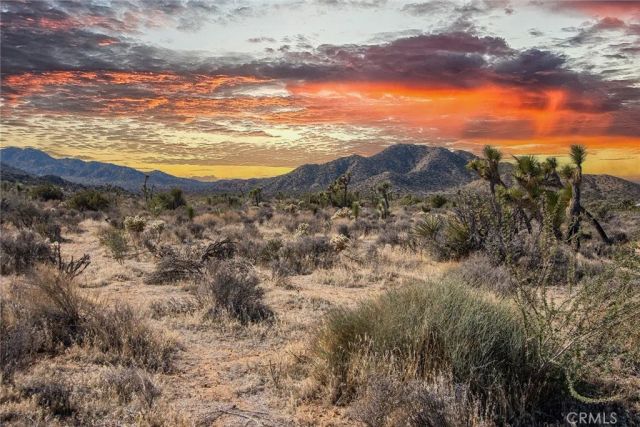 58648 San Marino, Yucca Valley, CA 92284