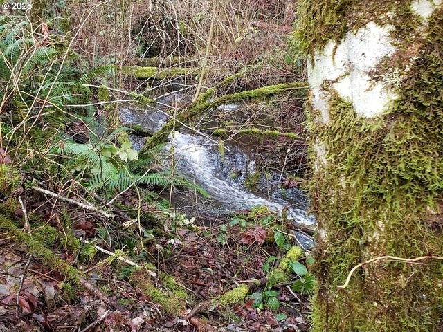 122 WINTER CREEK Rd, Stevenson, WA 98648