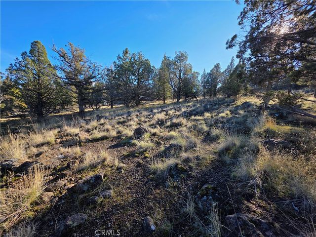 25 Quail Ridge, Weed, CA 96094