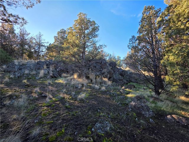 25 Quail Ridge, Weed, CA 96094